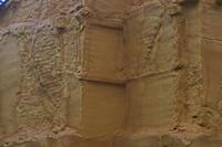 Cjp_2015_11_09_074410.jpg