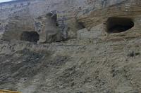 Cjp_2015_11_09_074502.jpg