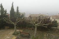 Cjp_2015_11_09_075804.jpg