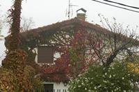 Cjp_2015_11_09_081406.jpg