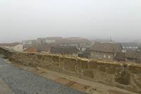 Cjp_2015_11_09_081500.jpg