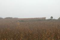 Cjp_2015_11_09_082706.jpg