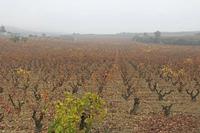 Cjp_2015_11_09_083038.jpg