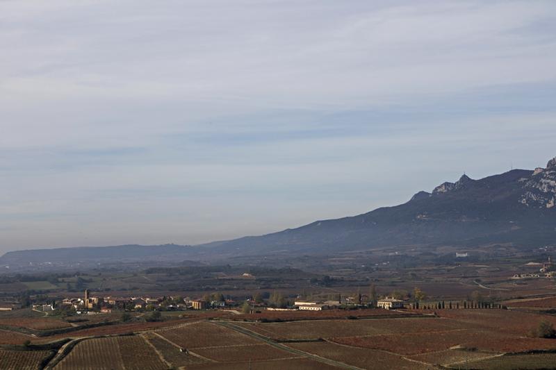 Cjp_2015_11_09_122354.jpg