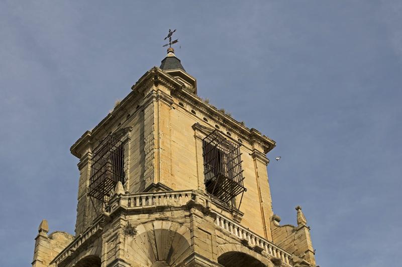 Cjp_2015_11_09_131756.jpg