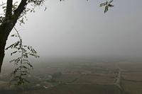 Cjp_2015_11_09_112444.jpg