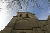 Cjp_2015_11_09_113532.jpg
