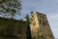 Cjp_2015_11_09_114746.jpg