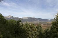 Cjp_2015_11_09_121836.jpg