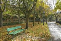 Cjp_2015_11_09_122208.jpg