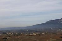 Cjp_2015_11_09_122354.jpg