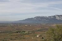 Cjp_2015_11_09_122618.jpg