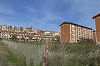 Cjp_2015_11_09_133020.jpg
