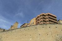 Cjp_2015_11_09_135356.jpg