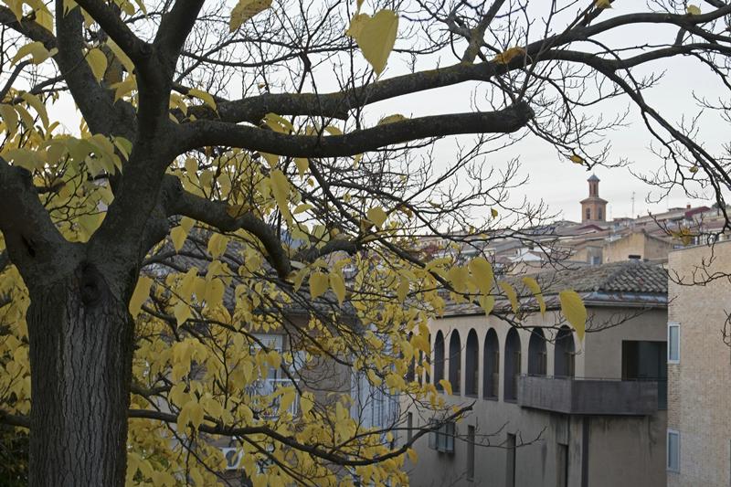 Cjp_2015_11_09_165226.jpg