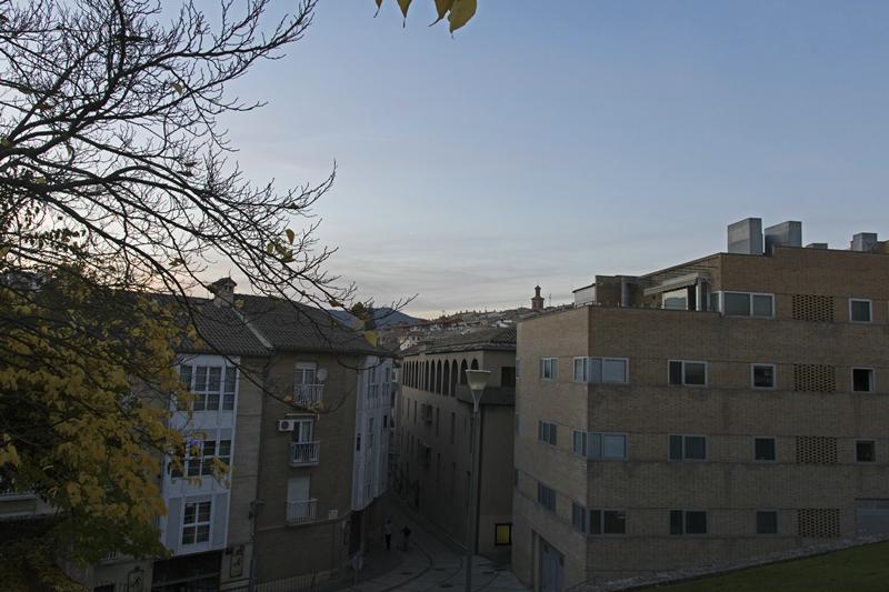 Cjp_2015_11_09_165246.jpg