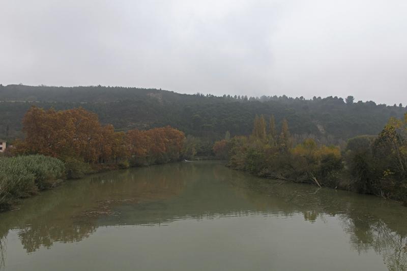 Cjp_2015_11_10_071644.jpg