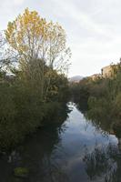 Cjp_2015_11_09_160652.jpg