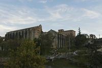 Cjp_2015_11_09_164314.jpg