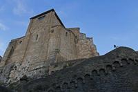 Cjp_2015_11_09_164702.jpg