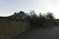 Cjp_2015_11_09_164934.jpg