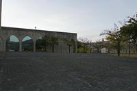 Cjp_2015_11_09_165022.jpg