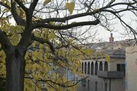Cjp_2015_11_09_165226.jpg
