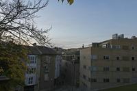 Cjp_2015_11_09_165246.jpg