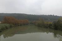 Cjp_2015_11_10_071644.jpg