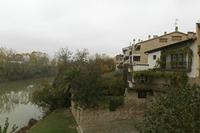 Cjp_2015_11_10_072232.jpg