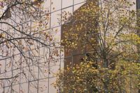 Cjp_2015_11_10_093512.jpg