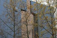 Cjp_2015_11_10_093630.jpg