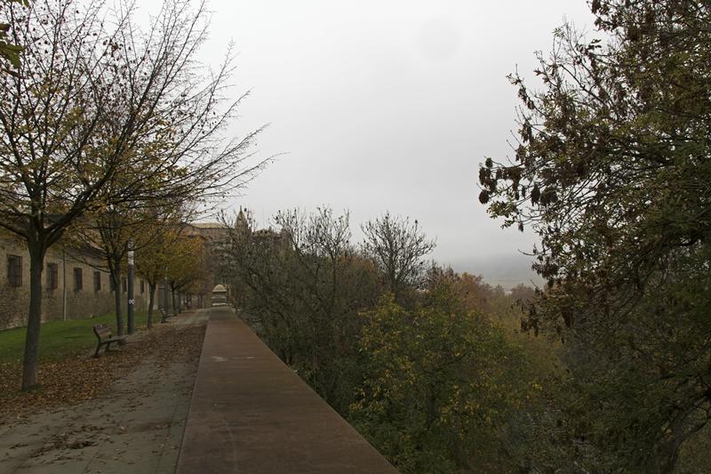 Cjp_2015_11_10_102204.jpg