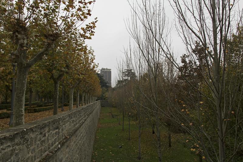 Cjp_2015_11_10_113154.jpg