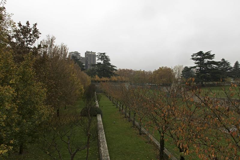 Cjp_2015_11_10_113210.jpg