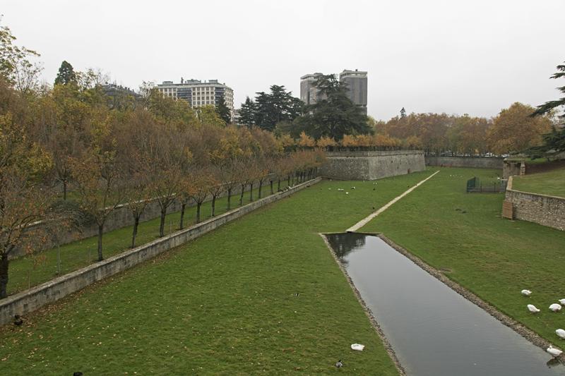 Cjp_2015_11_10_113258.jpg