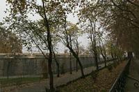 Cjp_2015_11_10_100614.jpg
