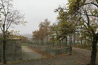 Cjp_2015_11_10_100732.jpg