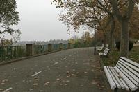 Cjp_2015_11_10_100854.jpg