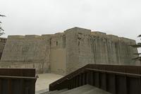 Cjp_2015_11_10_101812.jpg