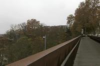 Cjp_2015_11_10_101828.jpg