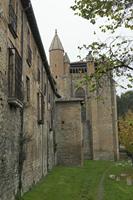 Cjp_2015_11_10_102430.jpg