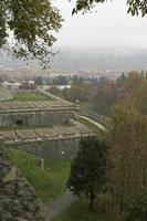 Cjp_2015_11_10_102606.jpg