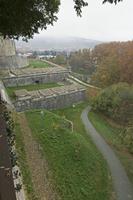 Cjp_2015_11_10_102710.jpg