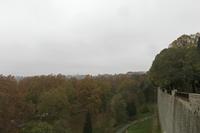 Cjp_2015_11_10_103006.jpg