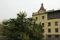 Cjp_2015_11_10_104454.jpg