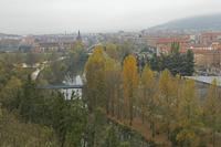 Cjp_2015_11_10_112820.jpg