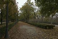 Cjp_2015_11_10_113136.jpg