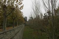 Cjp_2015_11_10_113154.jpg