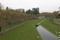 Cjp_2015_11_10_113258.jpg
